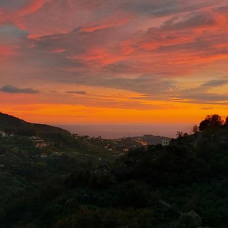 Il Nido Del Viaggiatore Vallebona Esterno foto