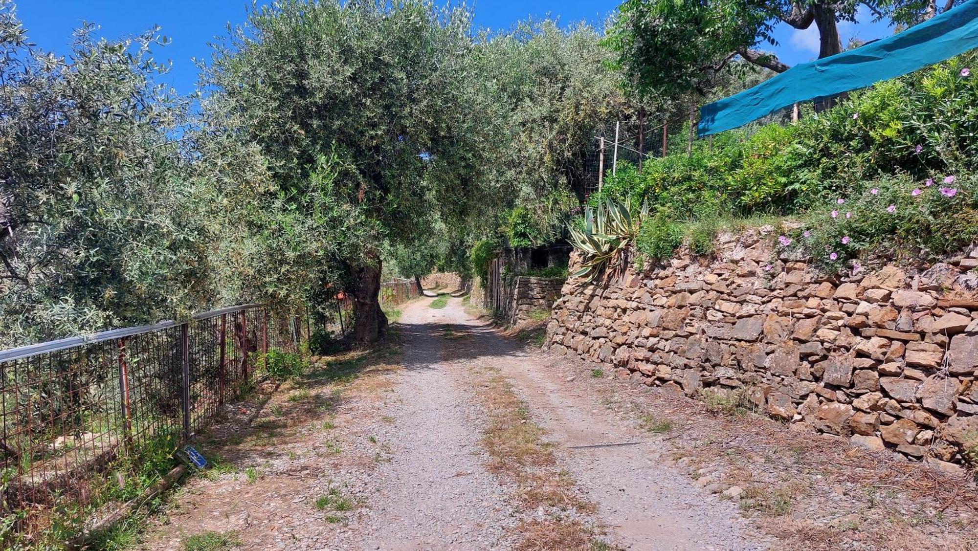 Il Nido Del Viaggiatore Vallebona Esterno foto