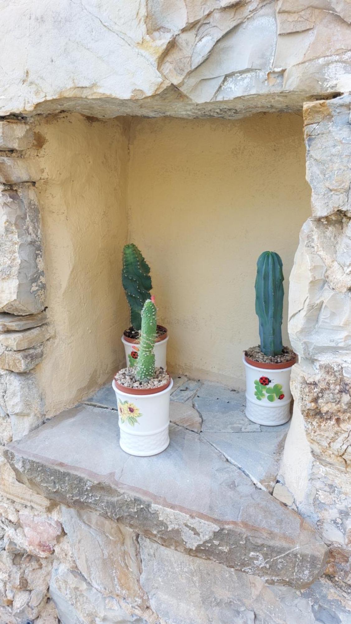Il Nido Del Viaggiatore Vallebona Esterno foto