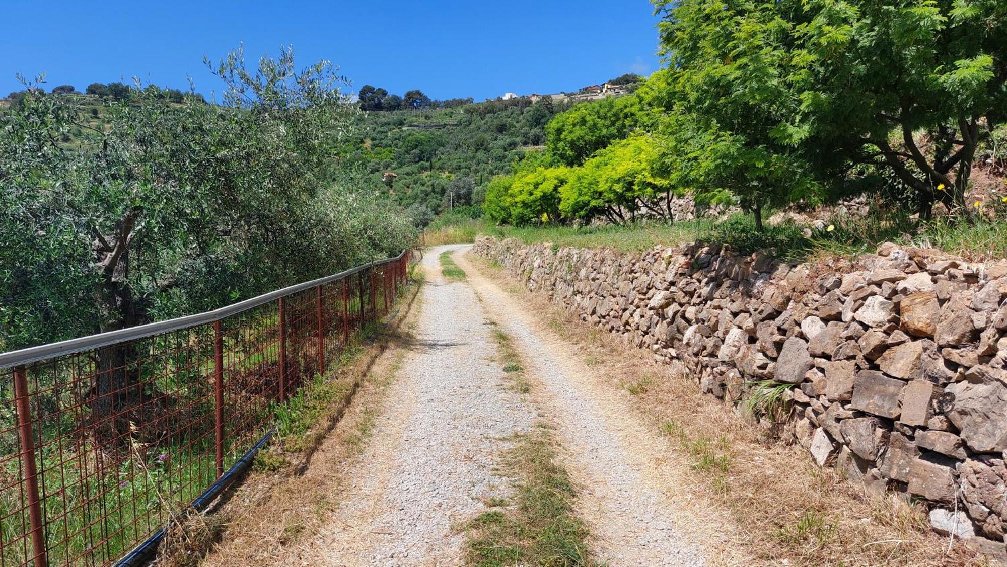 Il Nido Del Viaggiatore Vallebona Esterno foto