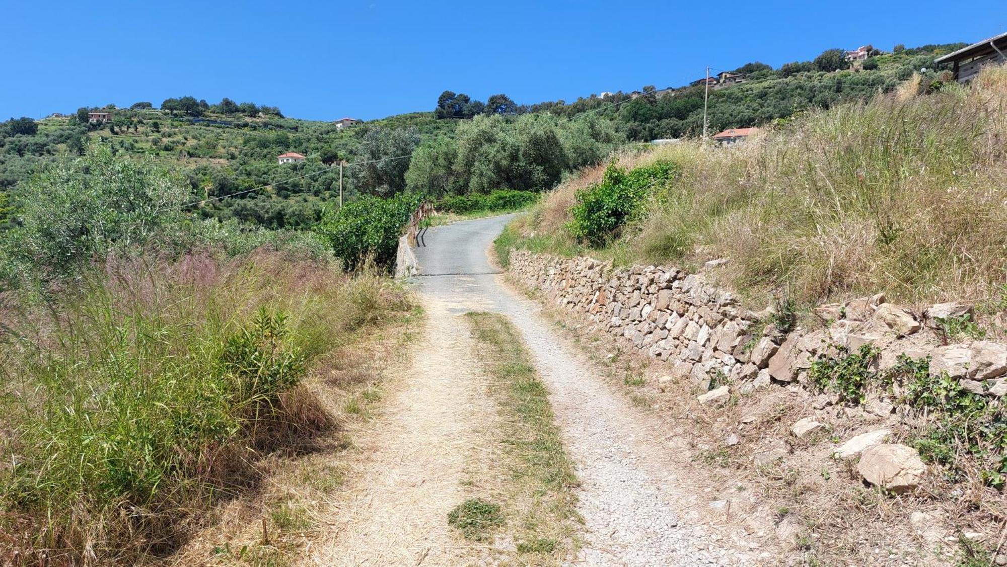 Il Nido Del Viaggiatore Vallebona Esterno foto