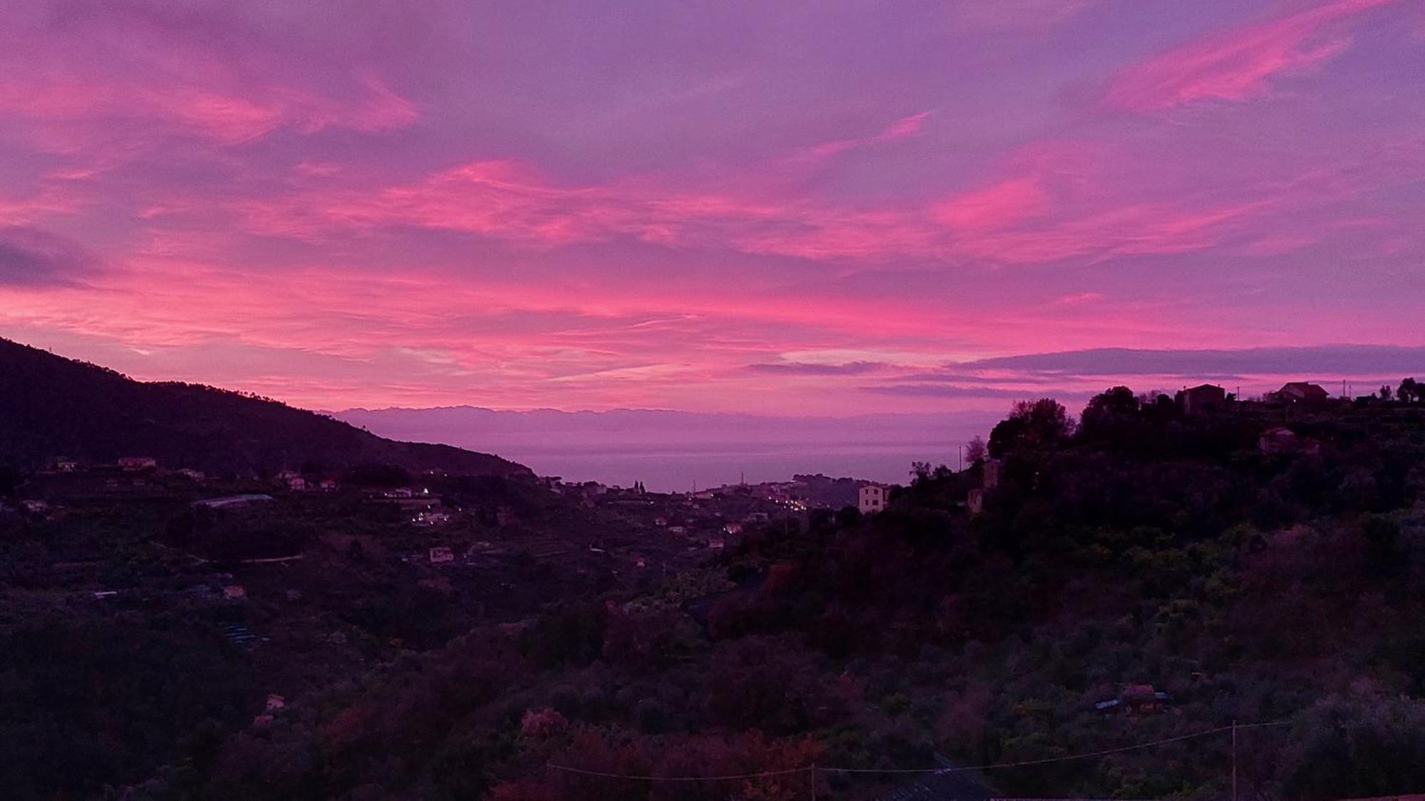 Il Nido Del Viaggiatore Vallebona Esterno foto