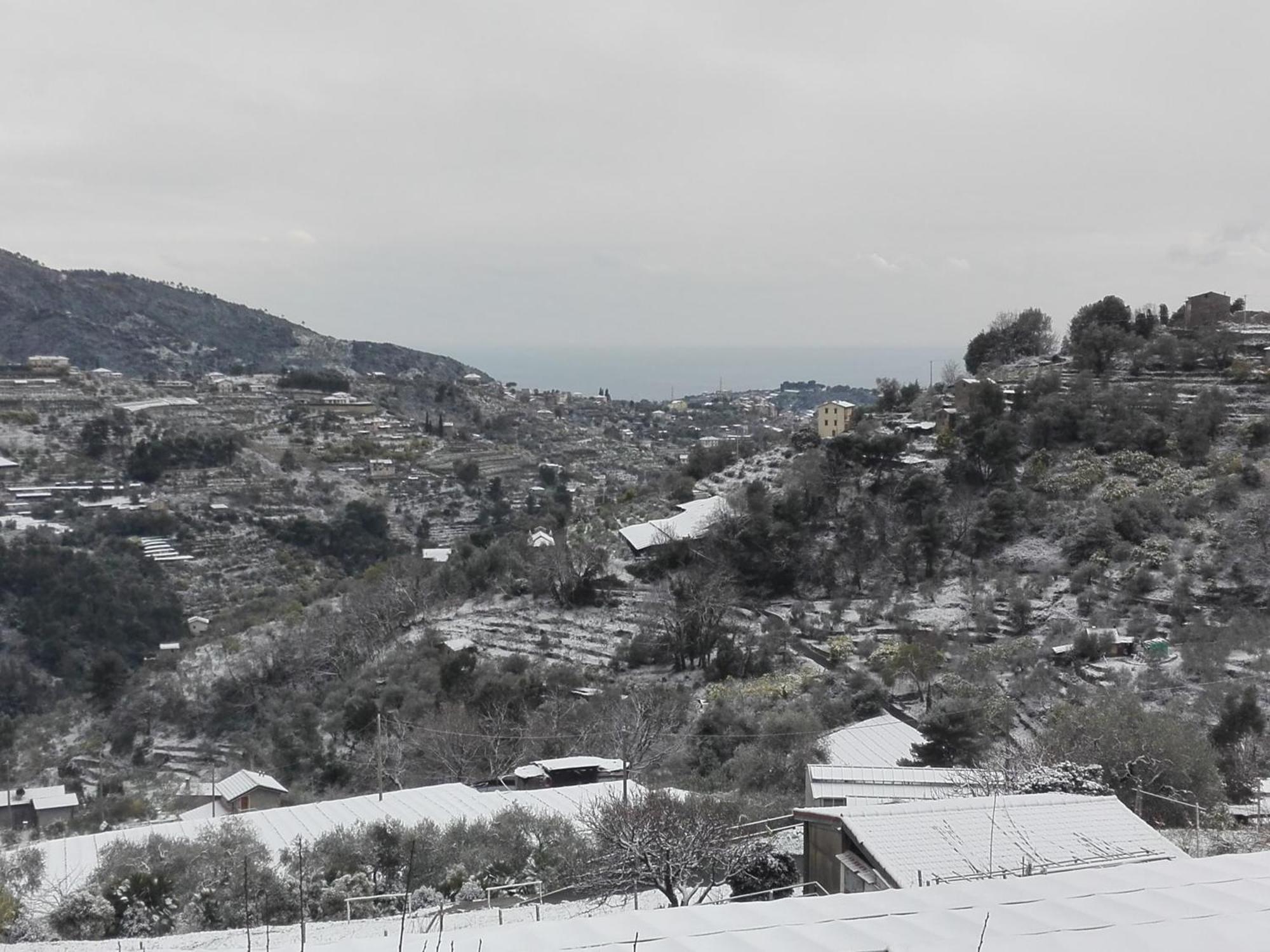 Il Nido Del Viaggiatore Vallebona Esterno foto